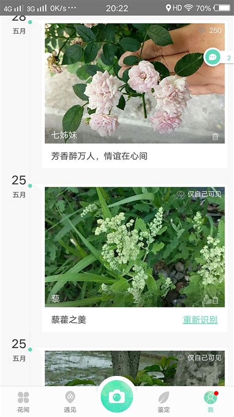 這是什麼花app|形色